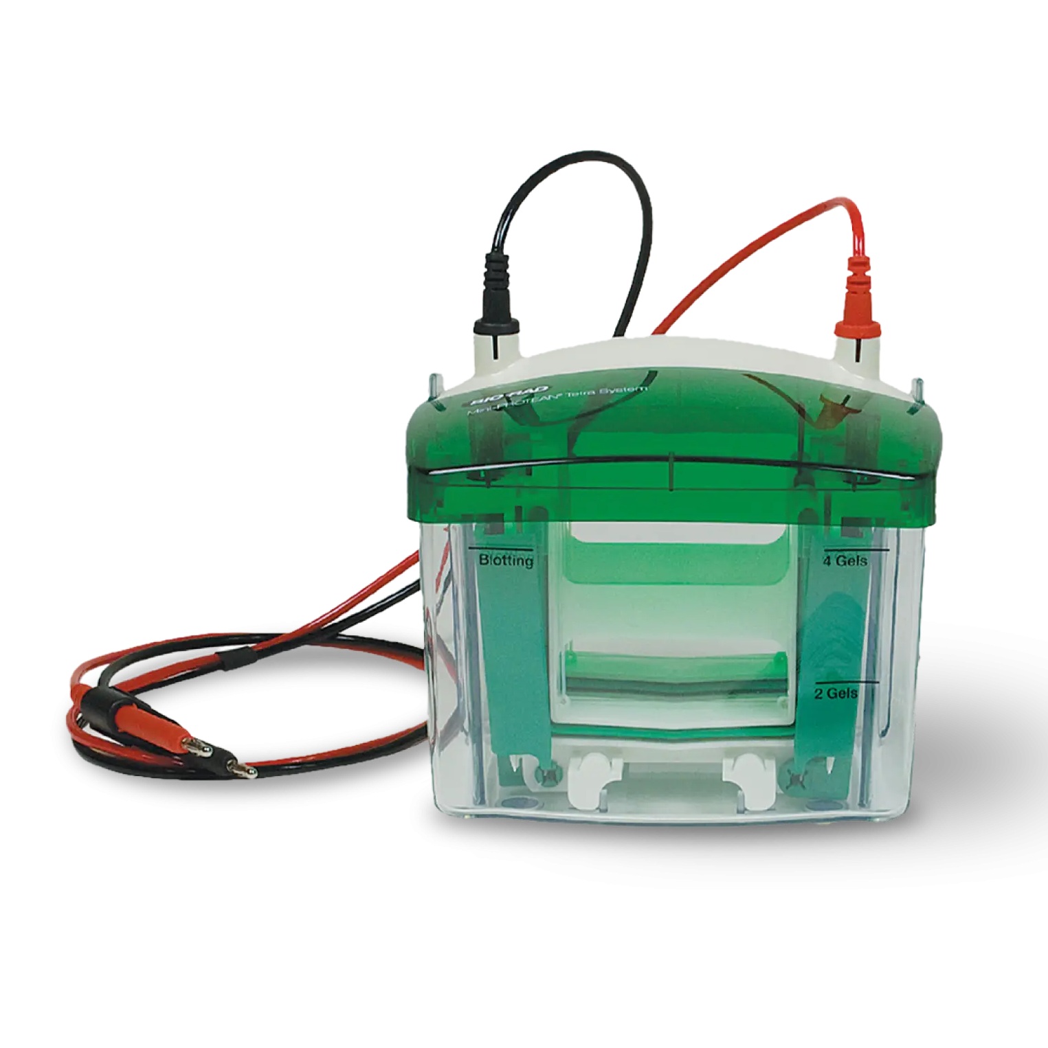 Mini-PROTEAN Tetra Cell