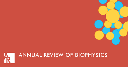 Programming structured DNA assemblies to probe biophysical processes